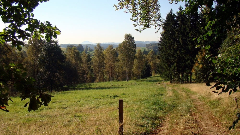 Panoramaweg Hinterhermsdorf