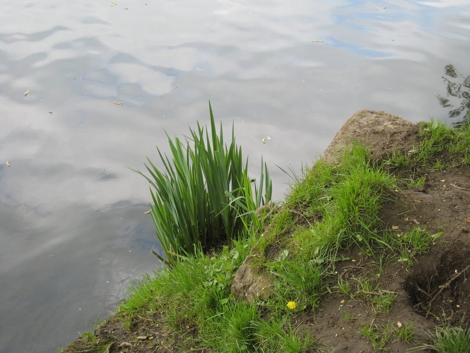 Wittener Ruhrrunde