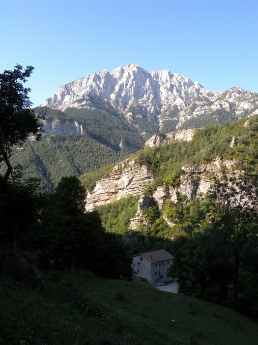 Camino de Los Cataros