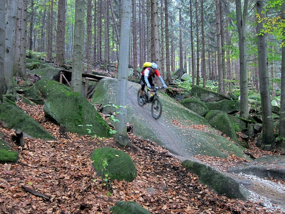 Rychlebské stezky-3: Wales -Prokletý -Velryba -Tajemný -Mramorový -Černý potok -Vidnavský okruh -Trail Lesů ČR