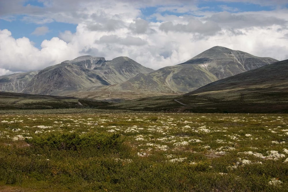 NP Rondane and NP Dovre