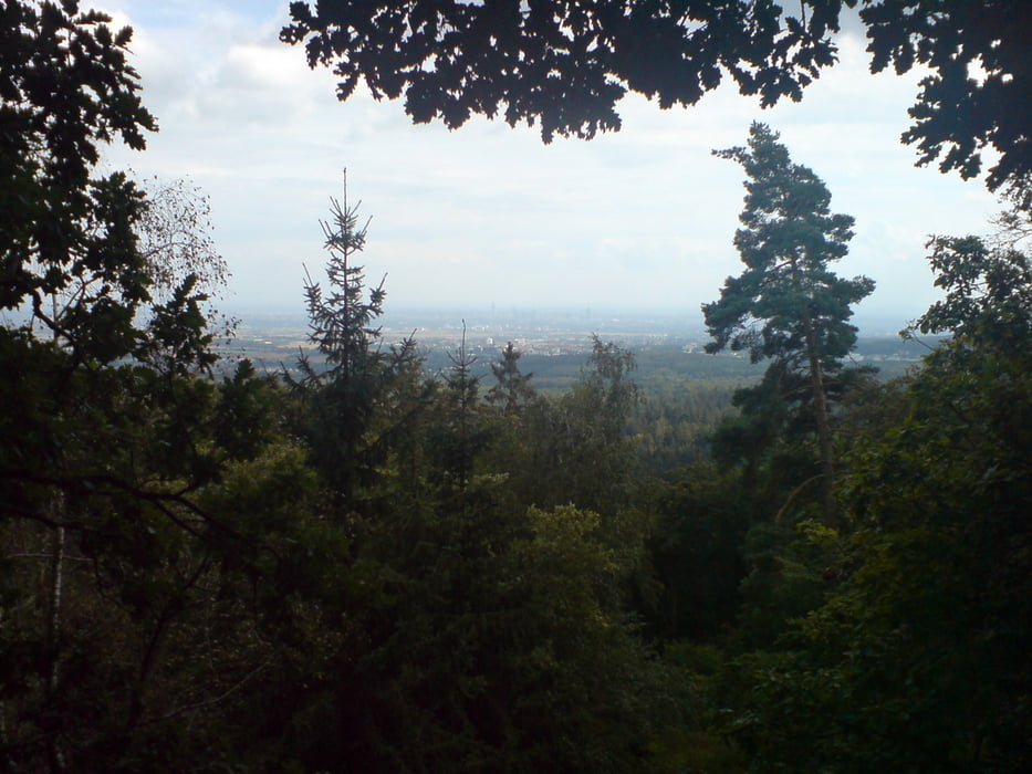 Taunus - Oberursel - Hohemark - Feldberg - Haader Weg