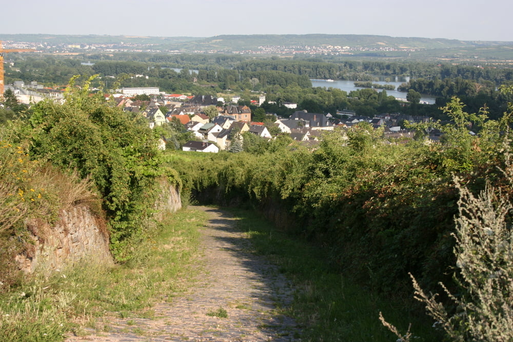 Rüdesheim nach Feierabend