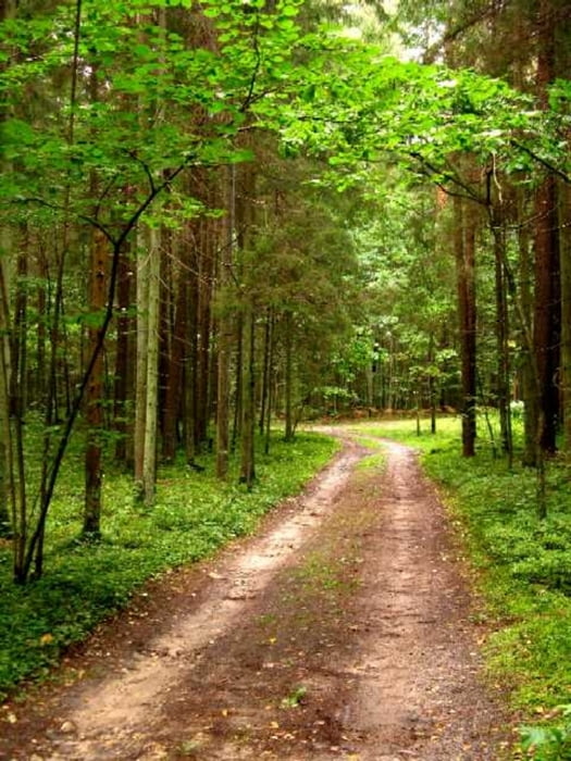 Skulte-Murjāņi-Sigulda