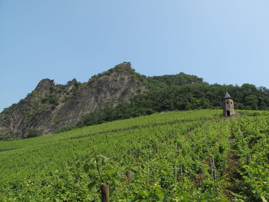 Von den Rhöndorfer Weinbergen über den Drachenfels zum Schallenberg