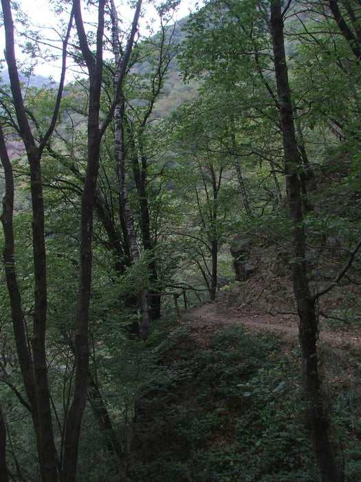 Val Grande (5)