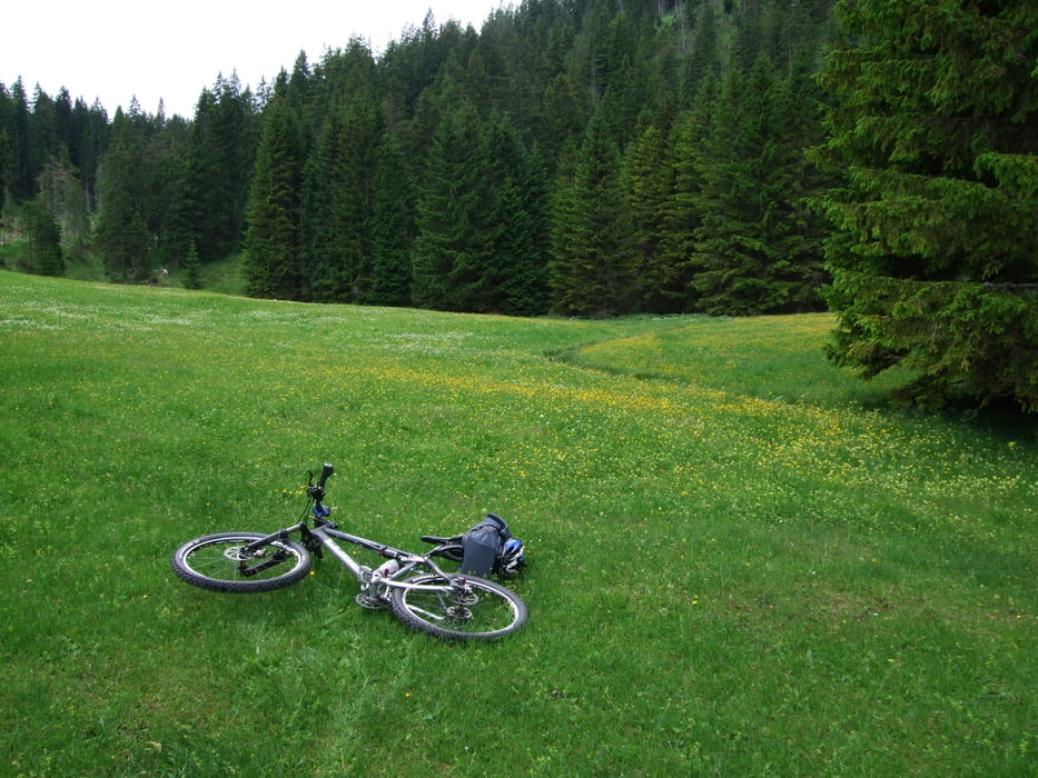 An der Elendalm