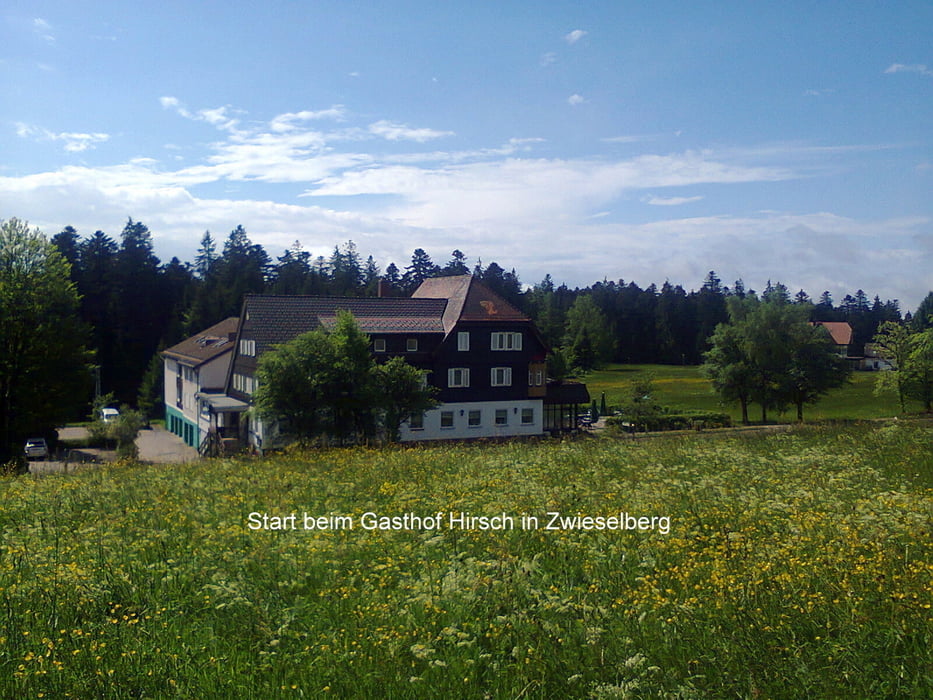 Zwieselberg - Grenzweg - Kniebis