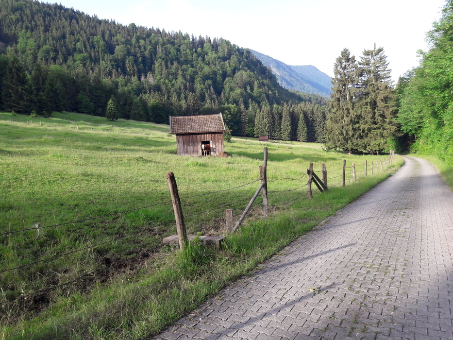Ohlstadt Hohentannen runde