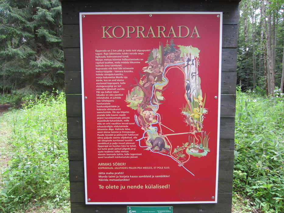 koprarda_moorwanderung