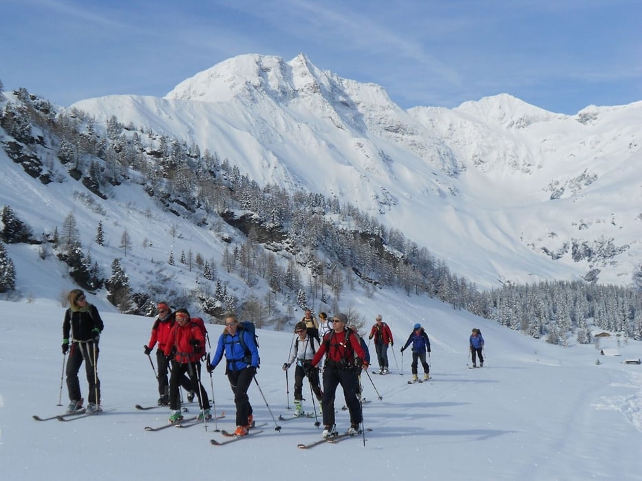 Silberpfennig 2600m, Goldberggruppe