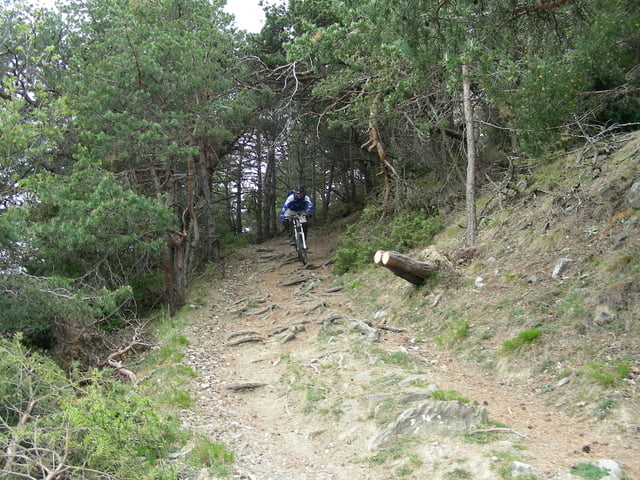 Sundowner Trailtour - Bergbahn nach St. Martin und Trailabfahrt