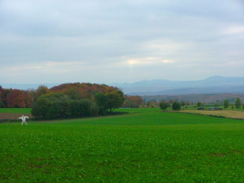 Rundwanderung Asberg- Bruchhausen