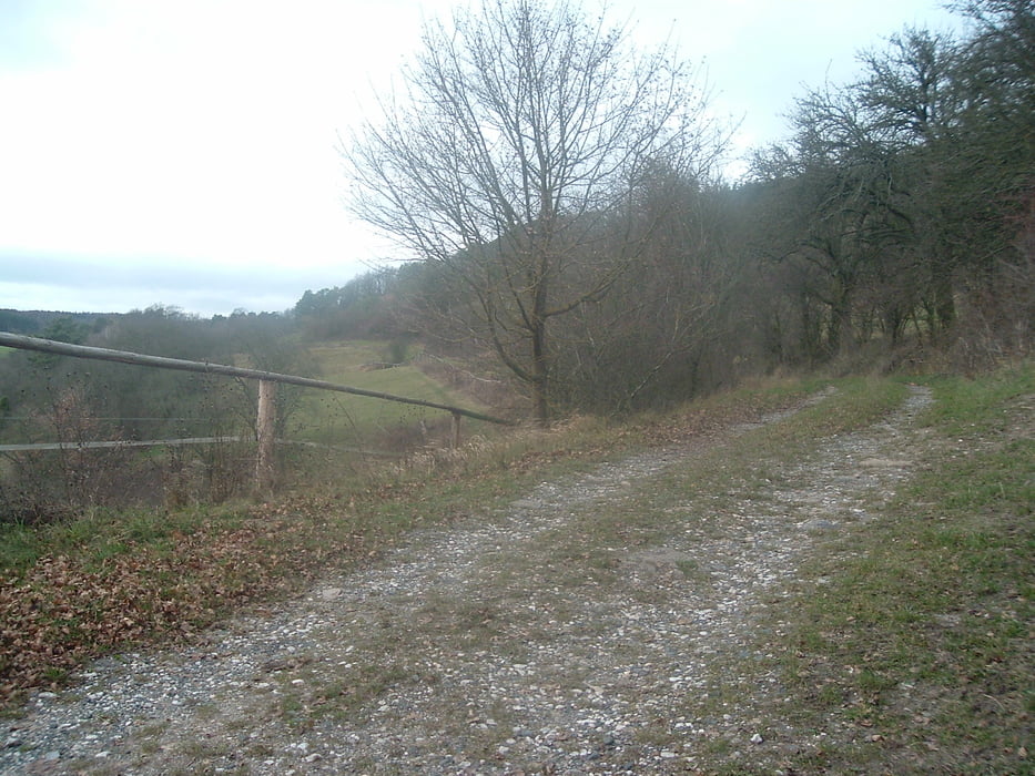 MTB Obere Zenntaltrailrunde