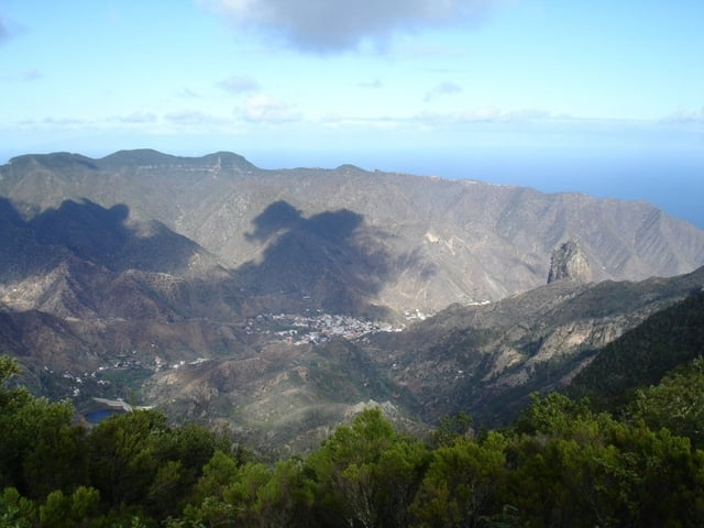El Cedro