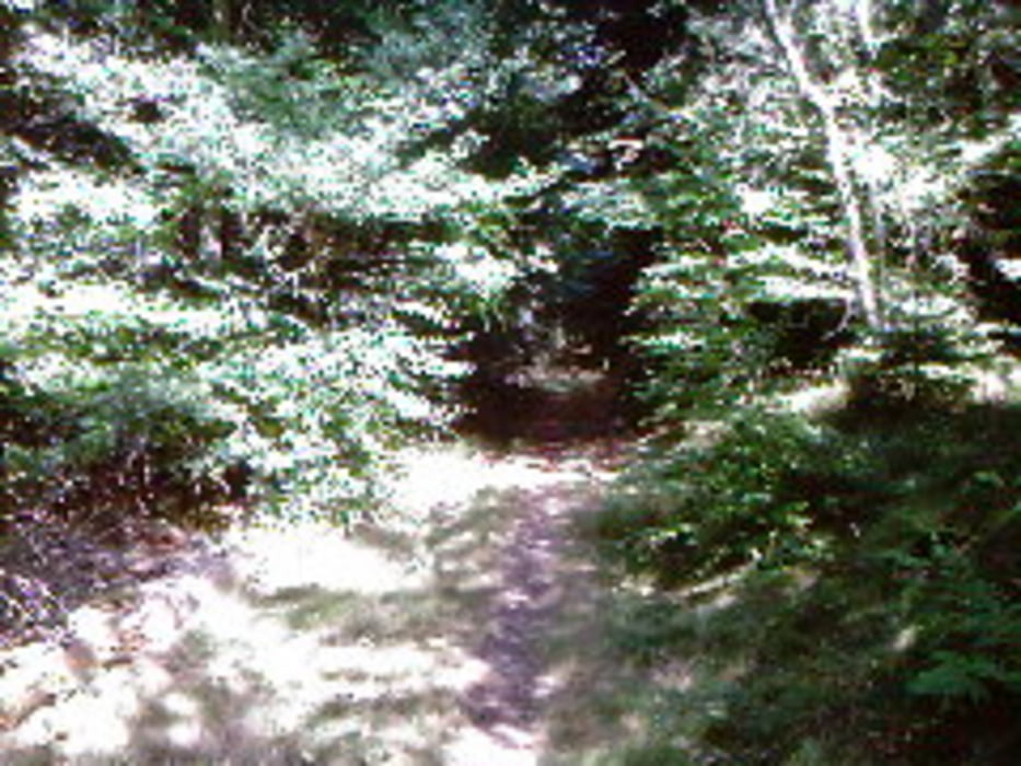 Schönenberg Kübelberg- Homburg ...