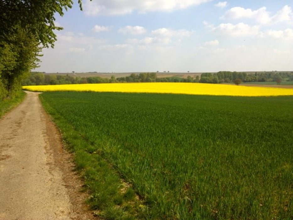 Dörrenbach - Südpfalz - Offenbach