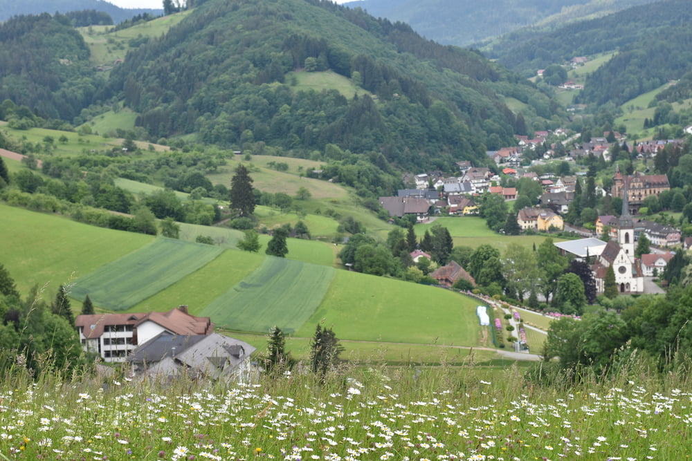 Gengenbach - Nordrach (11.4 km Rund)