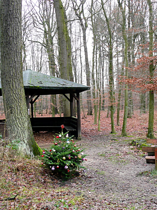 Adventtour über Halde Haniel