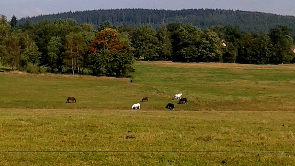 Rundkurs Finsterbergen - Spießberghaus