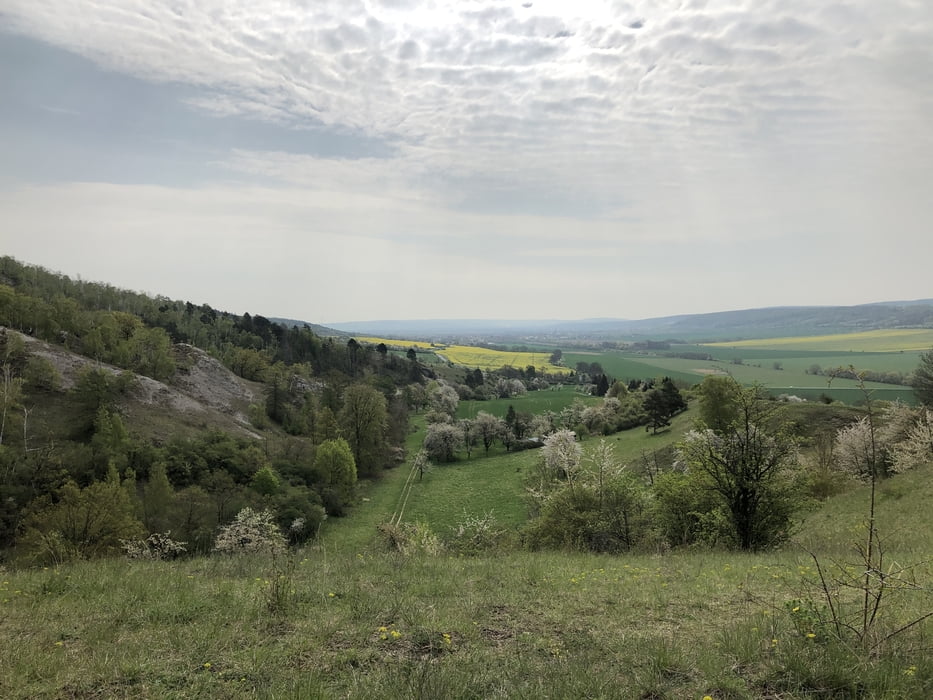 Bad Frankenhausen: Kyffhäusertrails