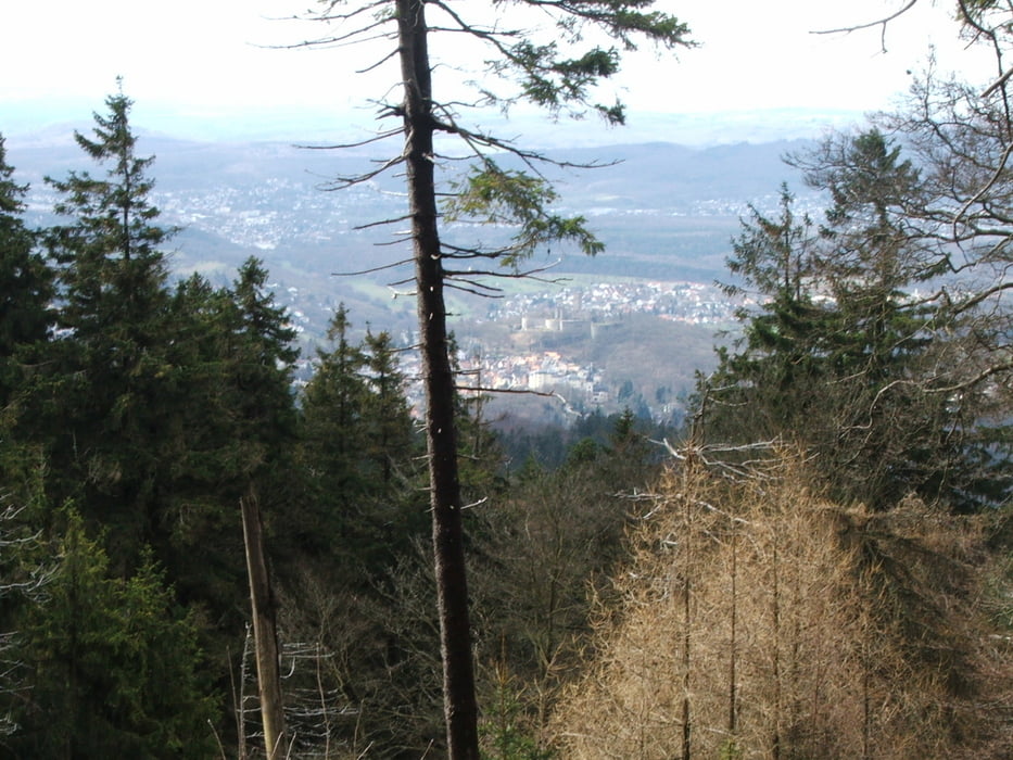 Taunus: Falkenstein - Großer Feldberg - Falkenstein