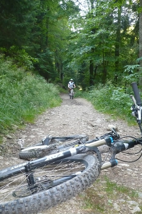 Schwarzwald-Runde am Feldberg
