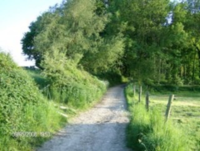 Voeren MTB 01
