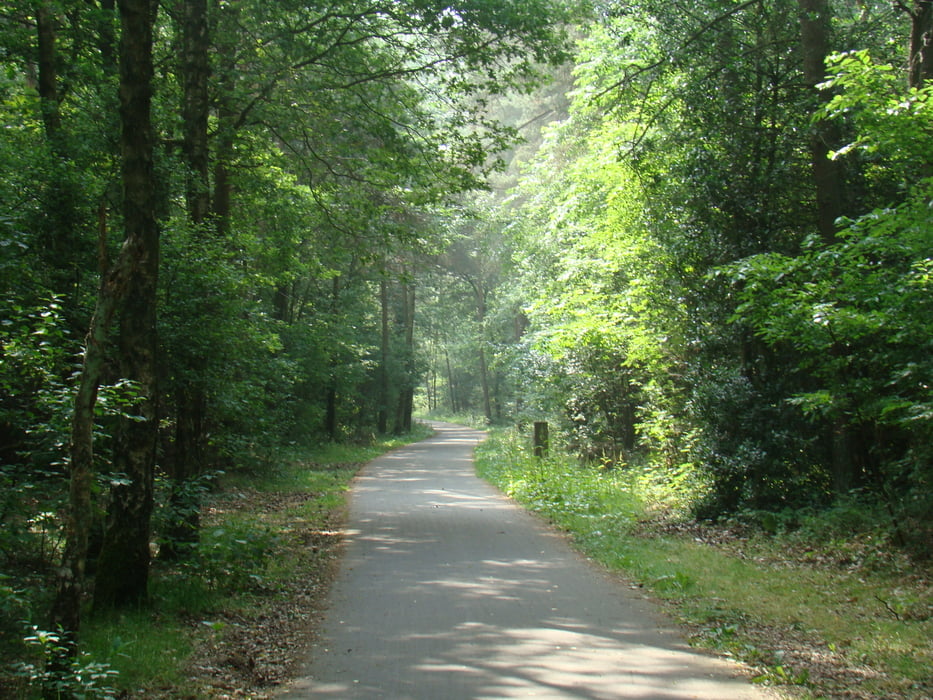 wandelen aan de kattevennen te genk
