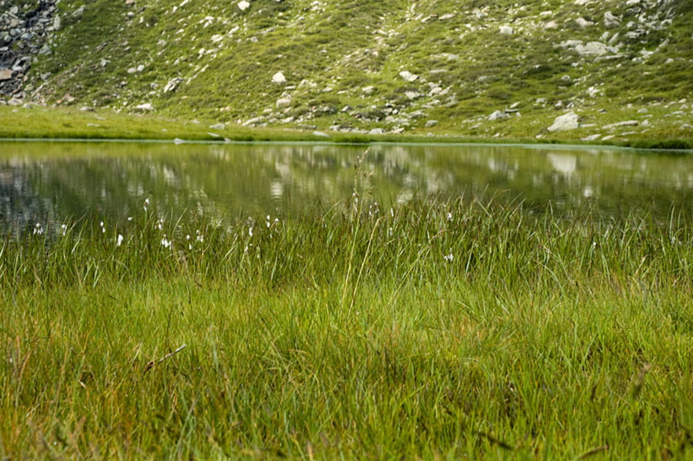 Die Spronser Seen im Naturpark Texelgruppe