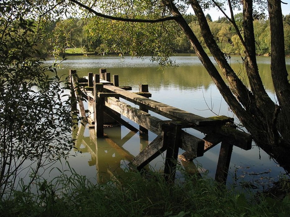 Holzwiesenteich