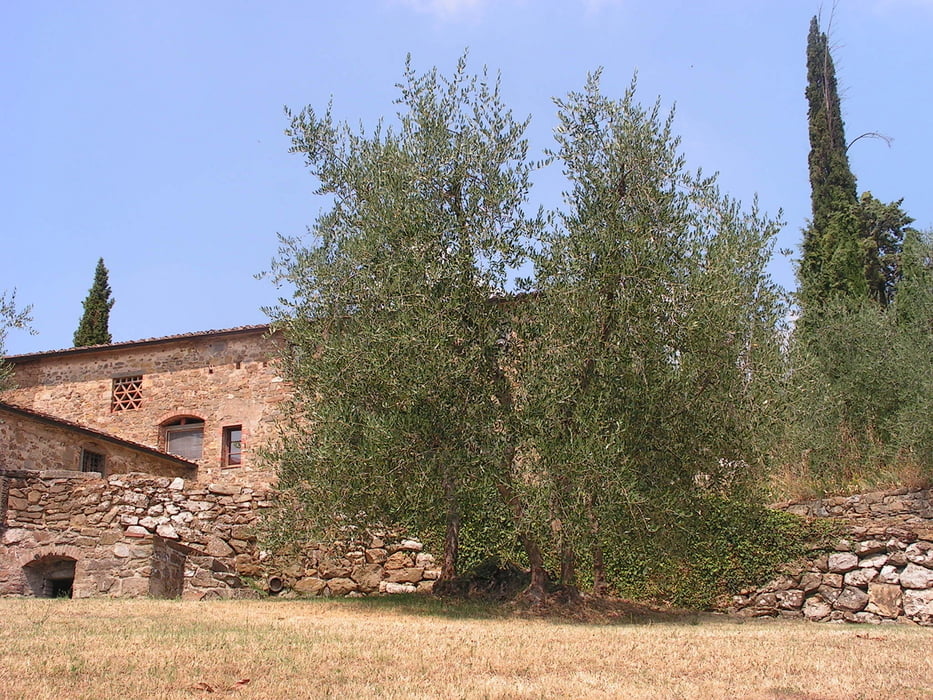 Greve in Chianti