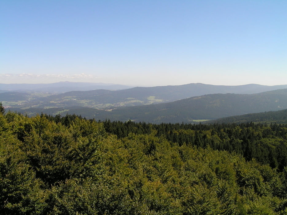 120908_Kollnburg-Hirschenstein-Proeller