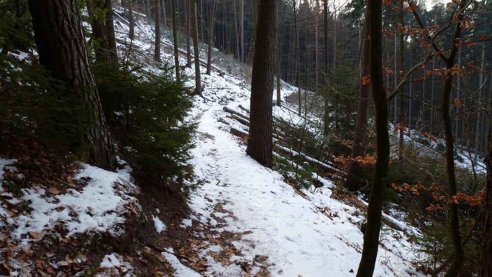 Tafeltour mit Felsenpfad in Kirkel