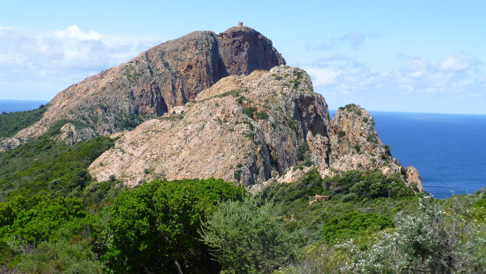 130517b Korsika: Capo Rosso