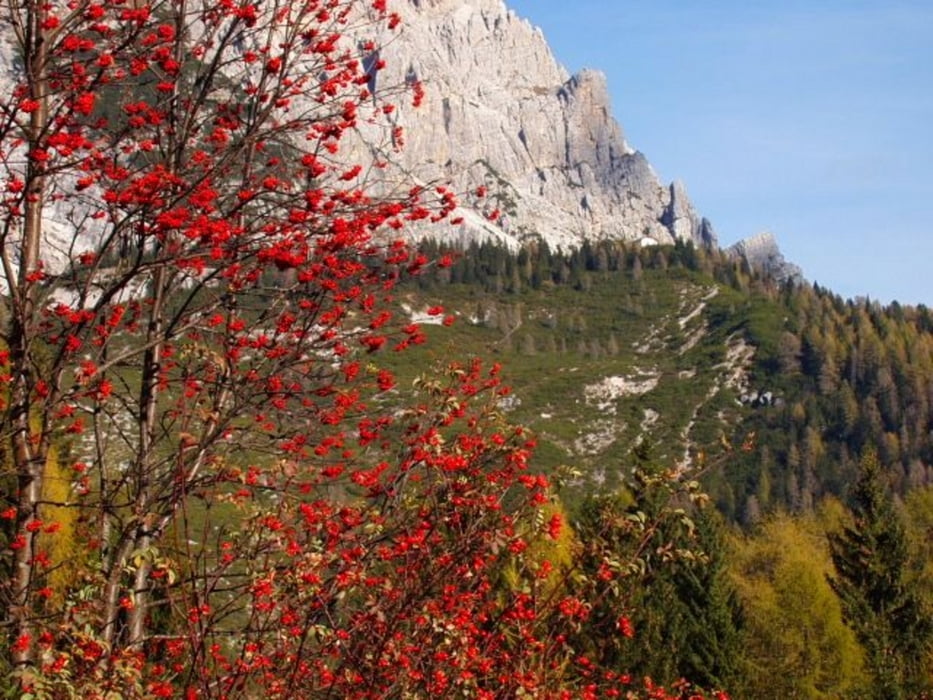 rif.Carestiato tour (M.Civetta-Moiazza)