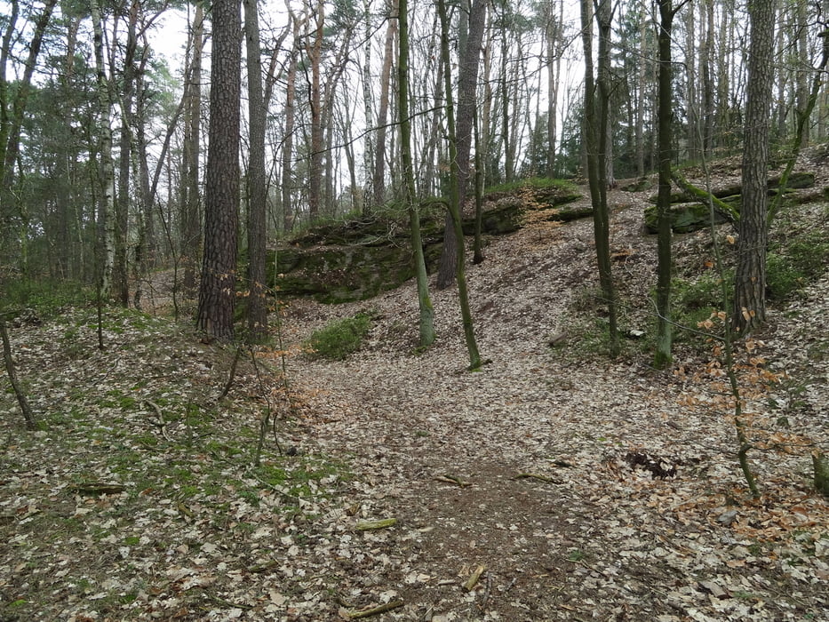 Oberasbacher Trainingsrunde III