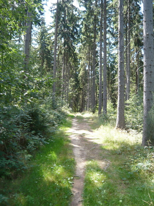 Von Rheinbach nach Tomburg