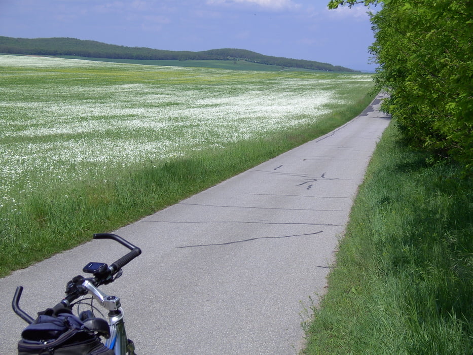 Zwischen Mattersburg und Neusiedlersee