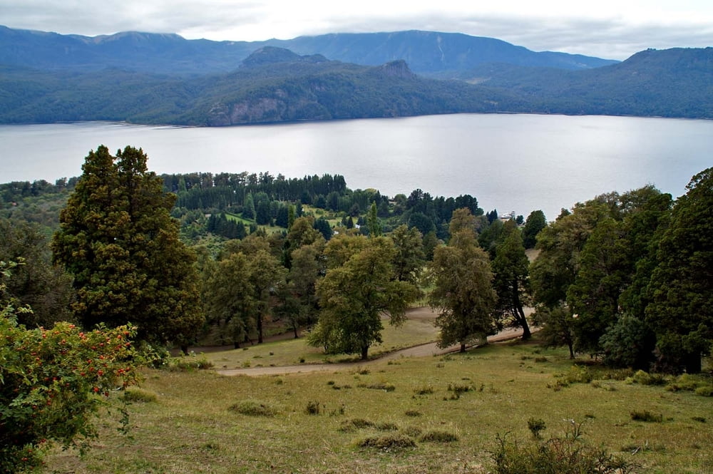 Von San Martín zum Lago Escondido (P.N. Lanín)