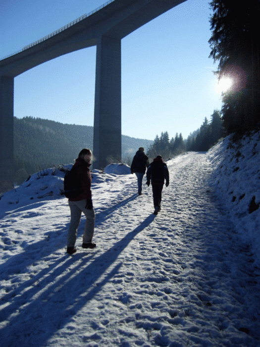 Durch das Gutach-Tal