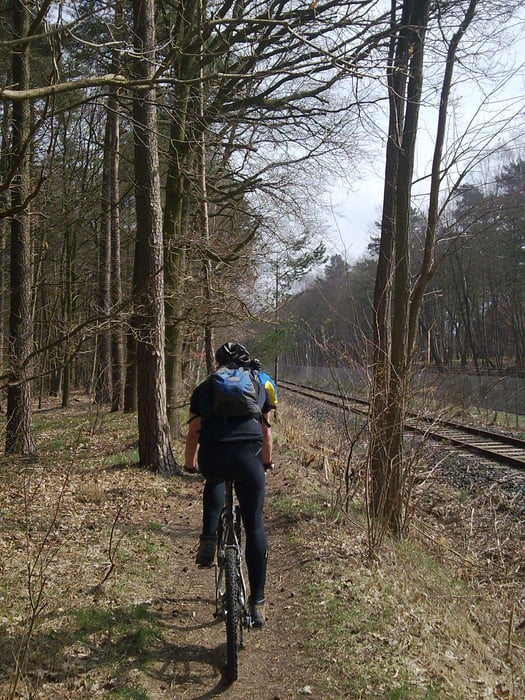 Frühling auf Landwehr und Ilmenau Trail bei Lüneburg