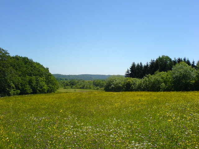 Einmal Kornberg und zurück