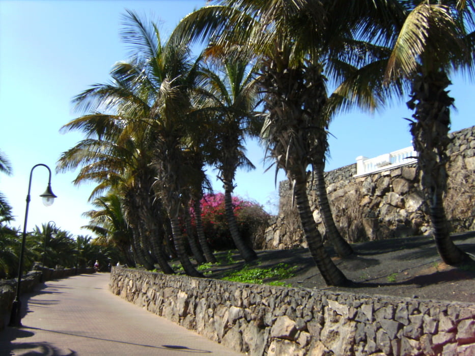 Lanzarote, verschiedene Tagestouren