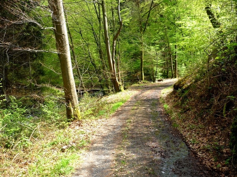 Rundweg Asberg - Kasbachtal