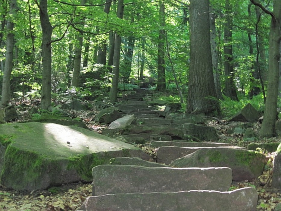 Heidelberg-Königstuhl-Felsenmeer