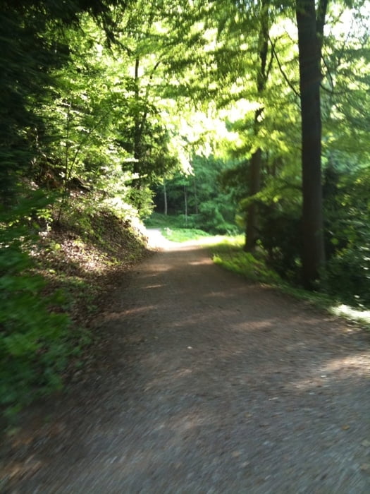 Uetliberg Downhill Zürich