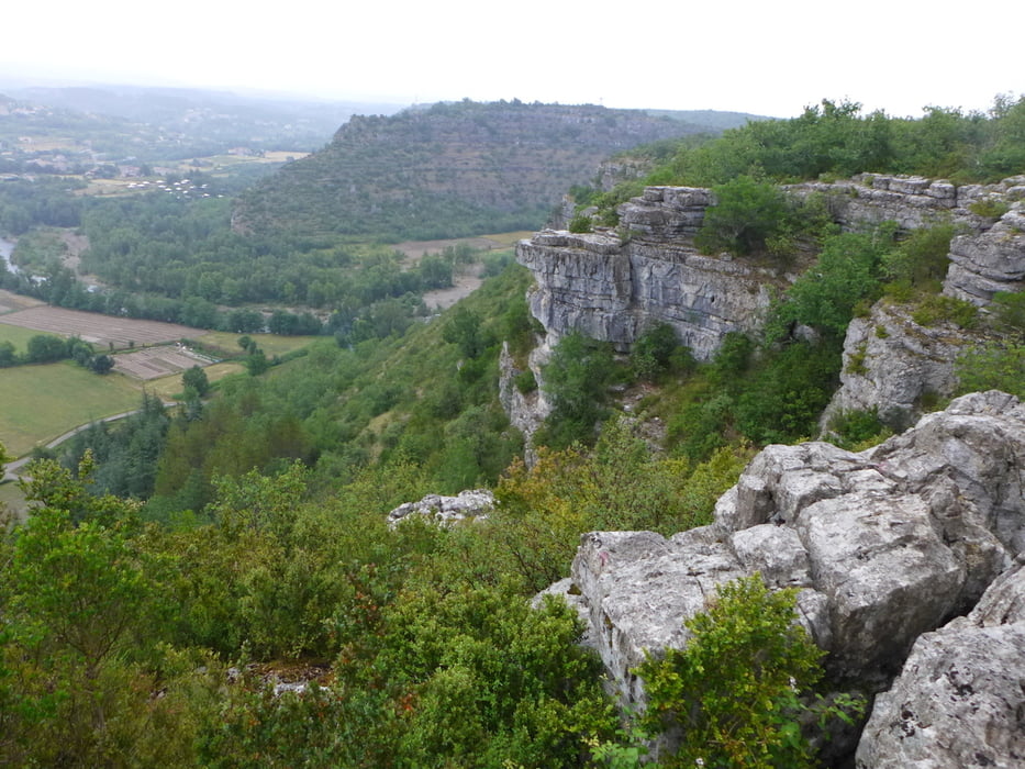 Auvergne: Bois de Paiolive