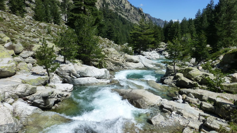 130512a Korsika: Restonica-Tal