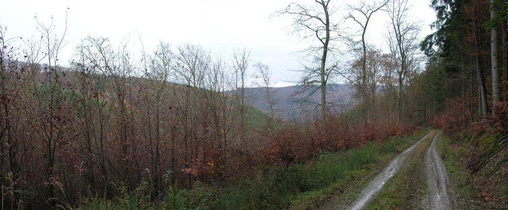 Stephanshausen-Weissenthurm-Stephanshausen